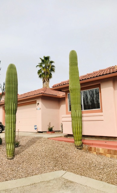 9908 N Woodstone Trl - Photo 3 of 28