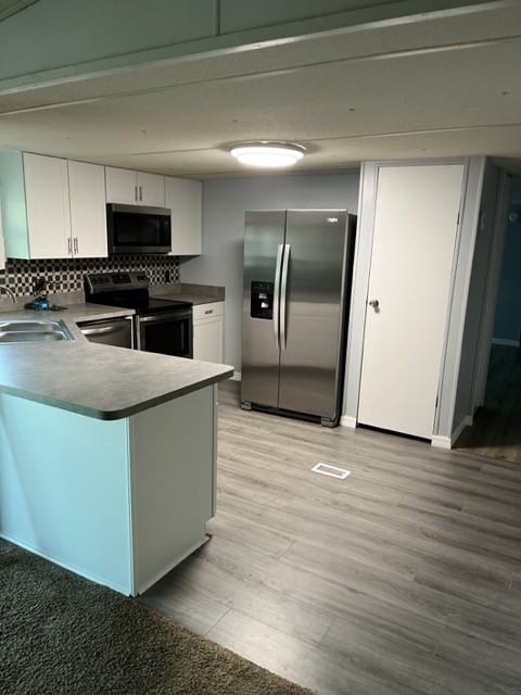 25431 Lake Lindsey Rd - Photo 3 of 9