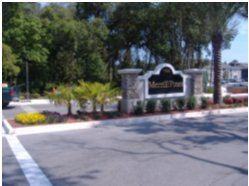 Merril Pines - Photo 2 of 9