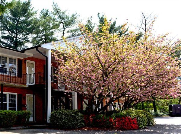 Johnsborough Apartments 301 Hawthorne Rd N, WinstonSalem, NC 27104