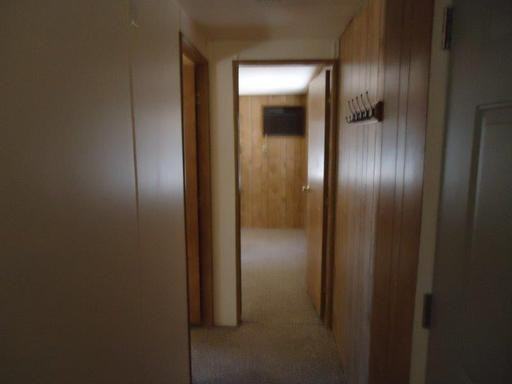 41771 Gray Squirrel Rd - Photo 2 of 21