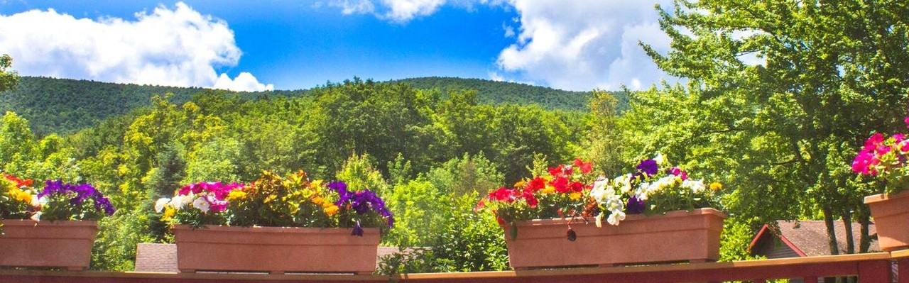 109 Mark Dr #TH - Photo 2 of 21