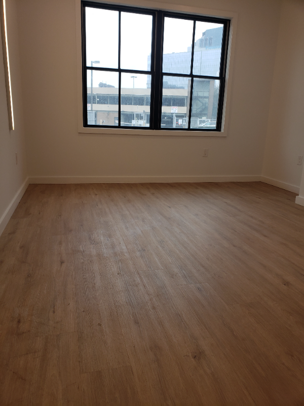 35 Mulberry St #102 - Photo 3 of 7