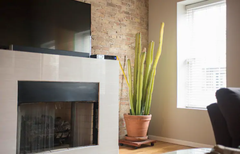 1851 N Milwaukee Ave #2N - Photo 4 of 12