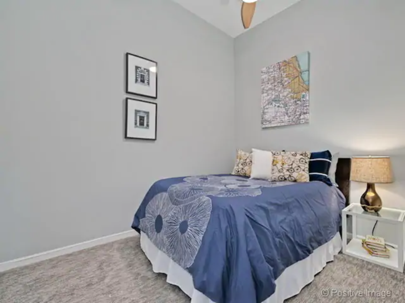 1851 N Milwaukee Ave #2N - Photo 6 of 12