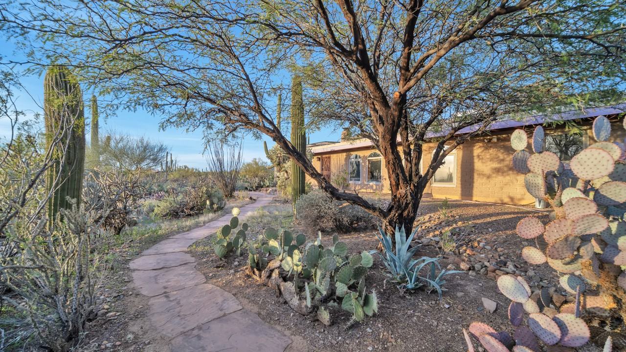 1350 N Camino Del Sapo - Photo 2 of 23