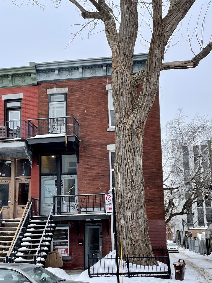 84 Rue Bagg - Photo 3 of 19