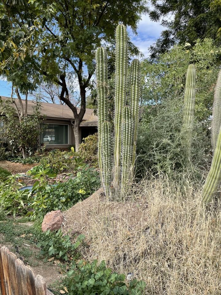 4626 South Parkside Drive - Photo 3 of 22