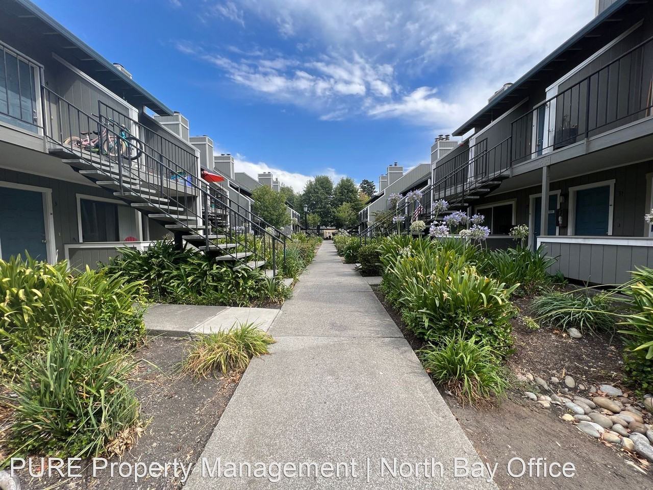 1450 E. Cotati Avenue Cambridge Square Apartments Cambridge Square in