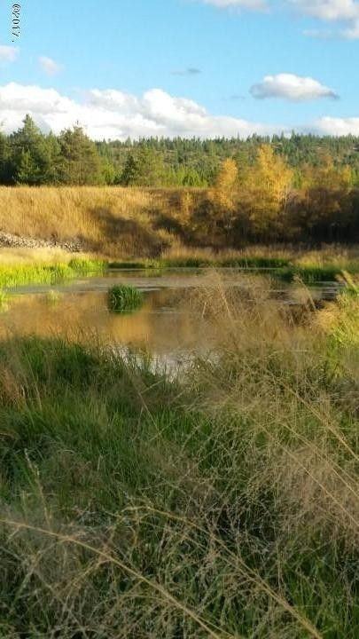 104 Wright Way - Photo 2 of 33