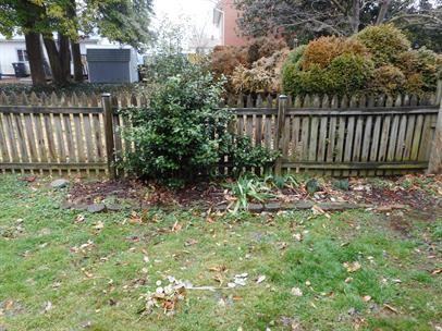 353 Girard St - Photo 3 of 29