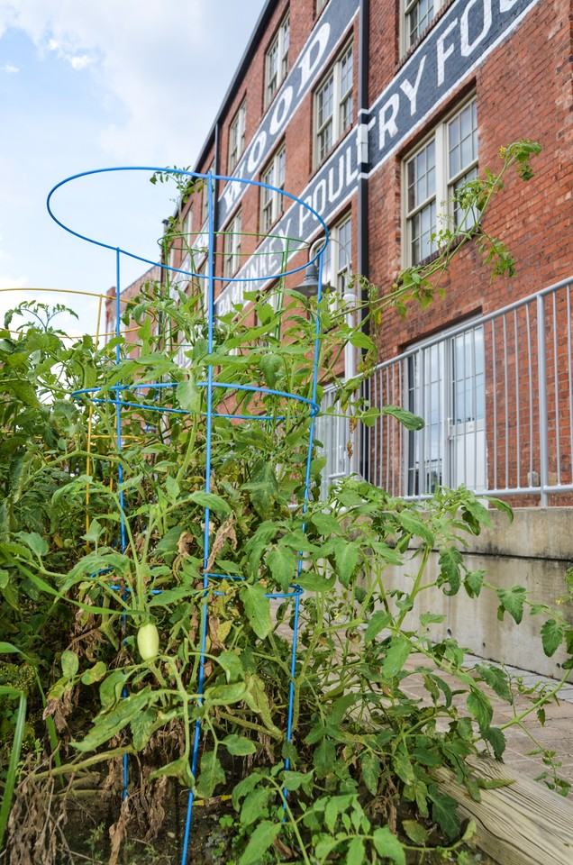 Atrium Lofts at Cold Storage - Photo 2 of 50