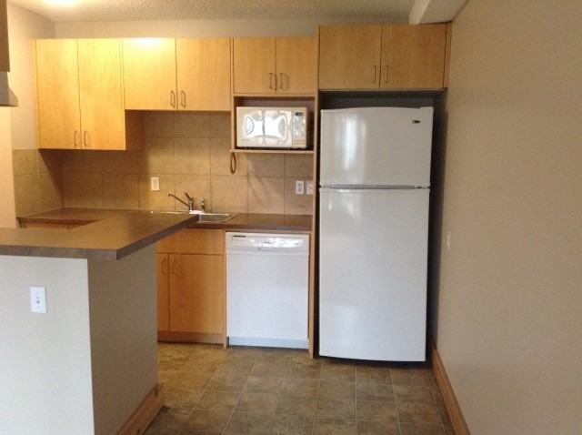 203, 1829 11 Avenue SW - Photo 2 of 6