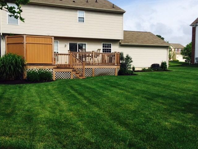 236 Chinkapin Ave - Photo 2 of 14