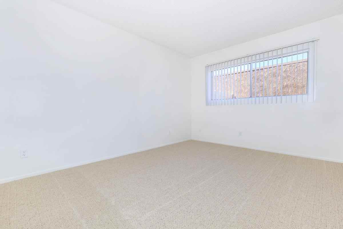 2901 Yorba Linda Blvd - Photo 3 of 12