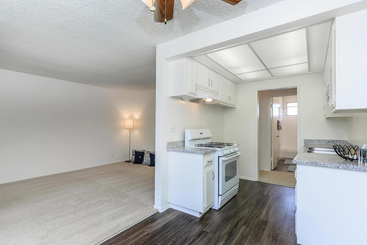 2901 Yorba Linda Blvd - Photo 5 of 38