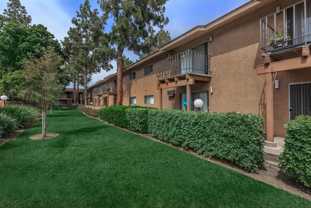 2901 Yorba Linda Blvd - Photo 1 of 1