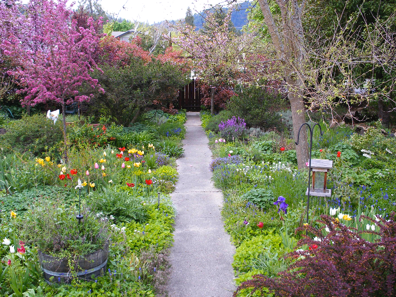 Apartments for Rent In Ashland, OR Find 38 Condos & Other Rentals