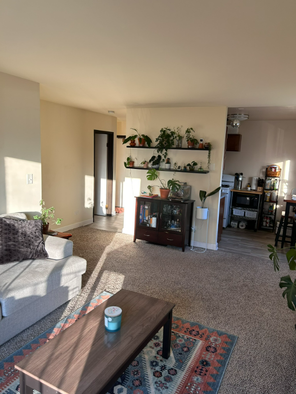 708 Court Of Birch #3 - Photo 4 of 7