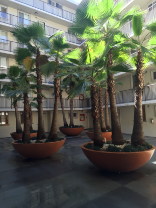 7100 Hillside Ave #305