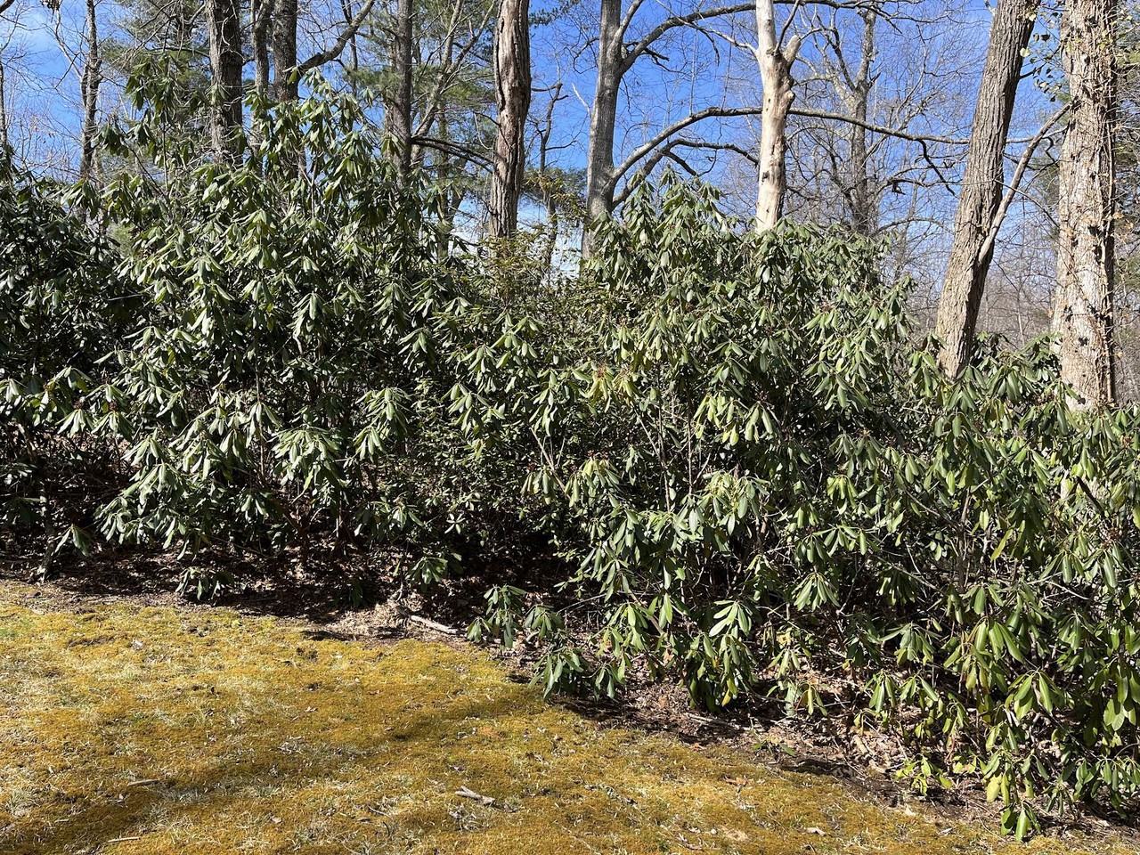 3414 Laurel Park Hwy - Photo 3 of 25