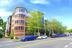 533 Cambridge Street #105 - Photo 1 of 1