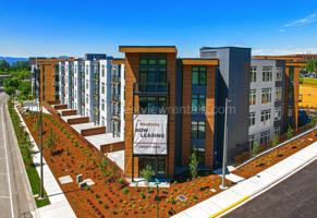 featured image of 2314 Weatherby Way #309