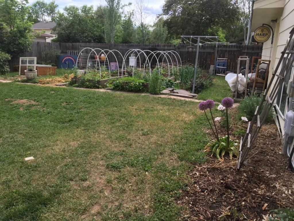 309 Mae St - Photo 5 of 16