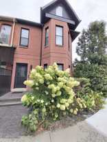 Keele St & Annette St - Photo 1 of 1