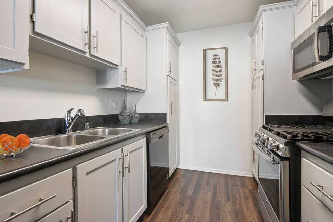 Rose Apartments - Photo 7 of 17