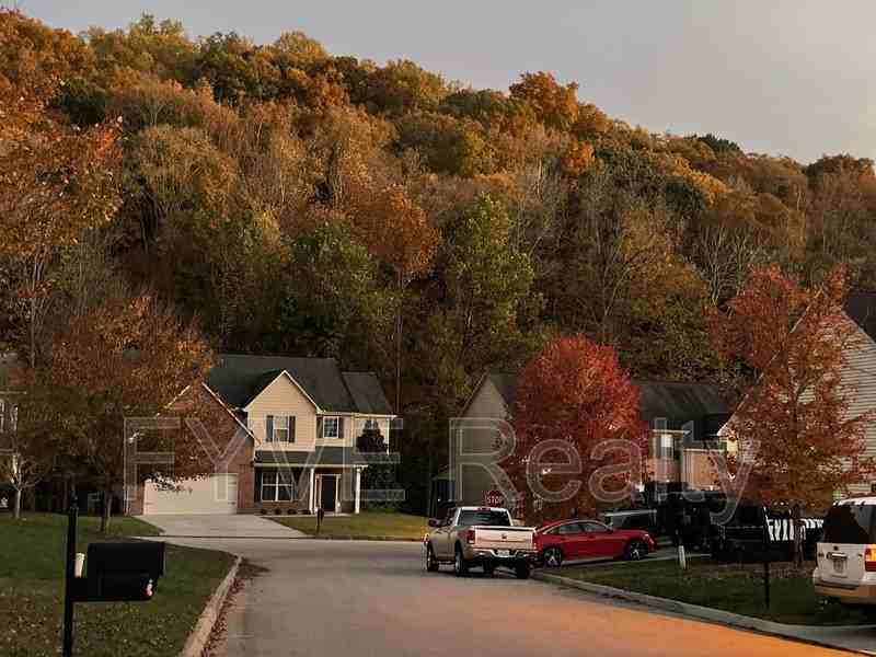 11638 Edison Dr - Photo 2 of 50