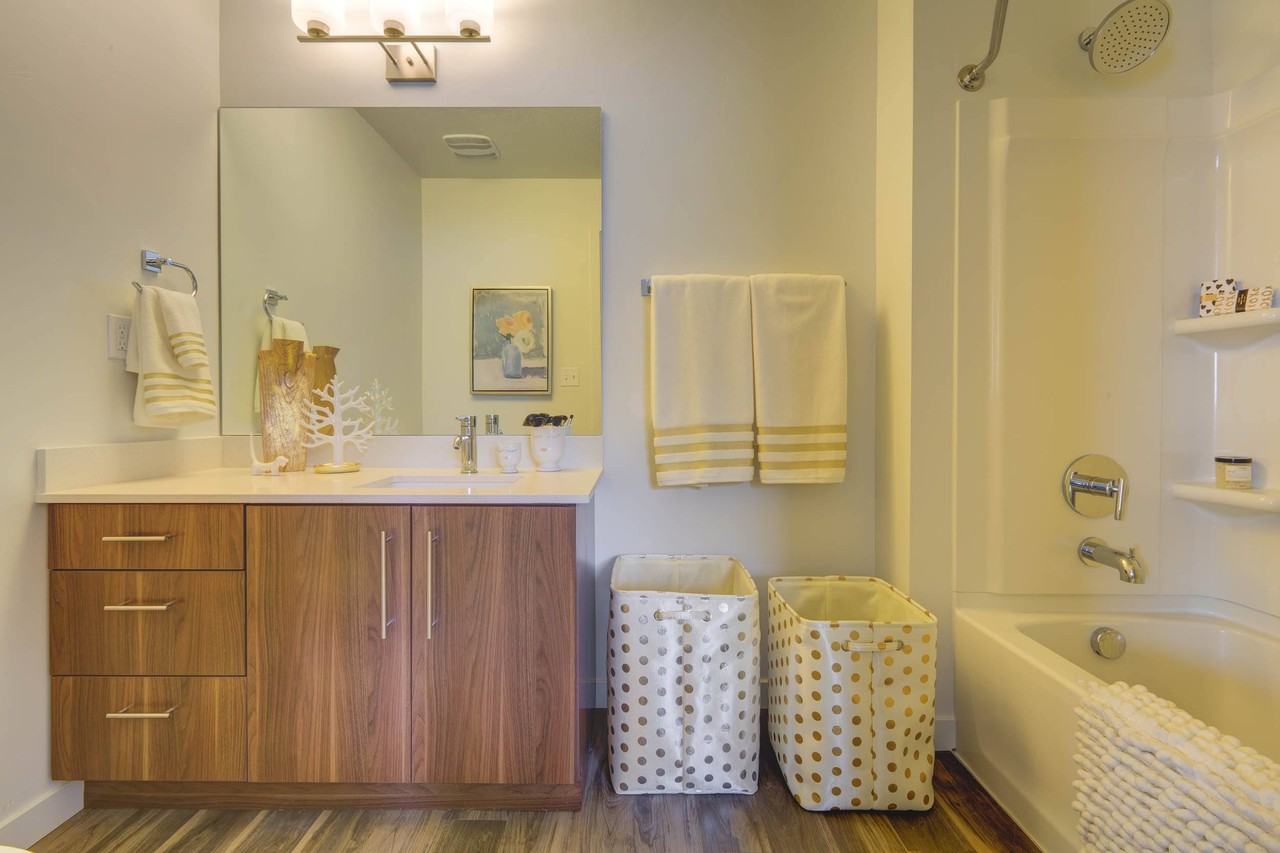 Axio 8400 - Photo 6 of 35