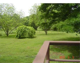 2118 Lancaster Ave - Photo 3 of 10