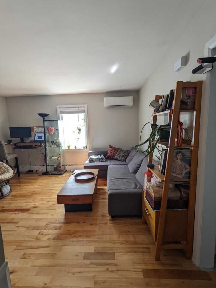 Renovated One Bedroom Apartment - Photo 4 of 10
