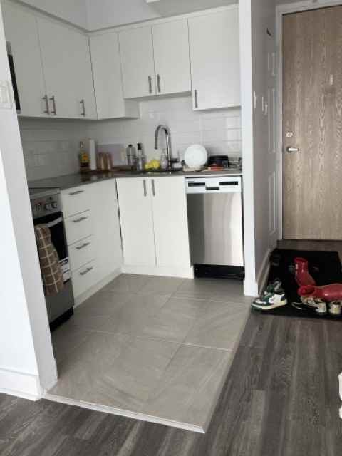 1160 Rue Saint Mathieu #1501