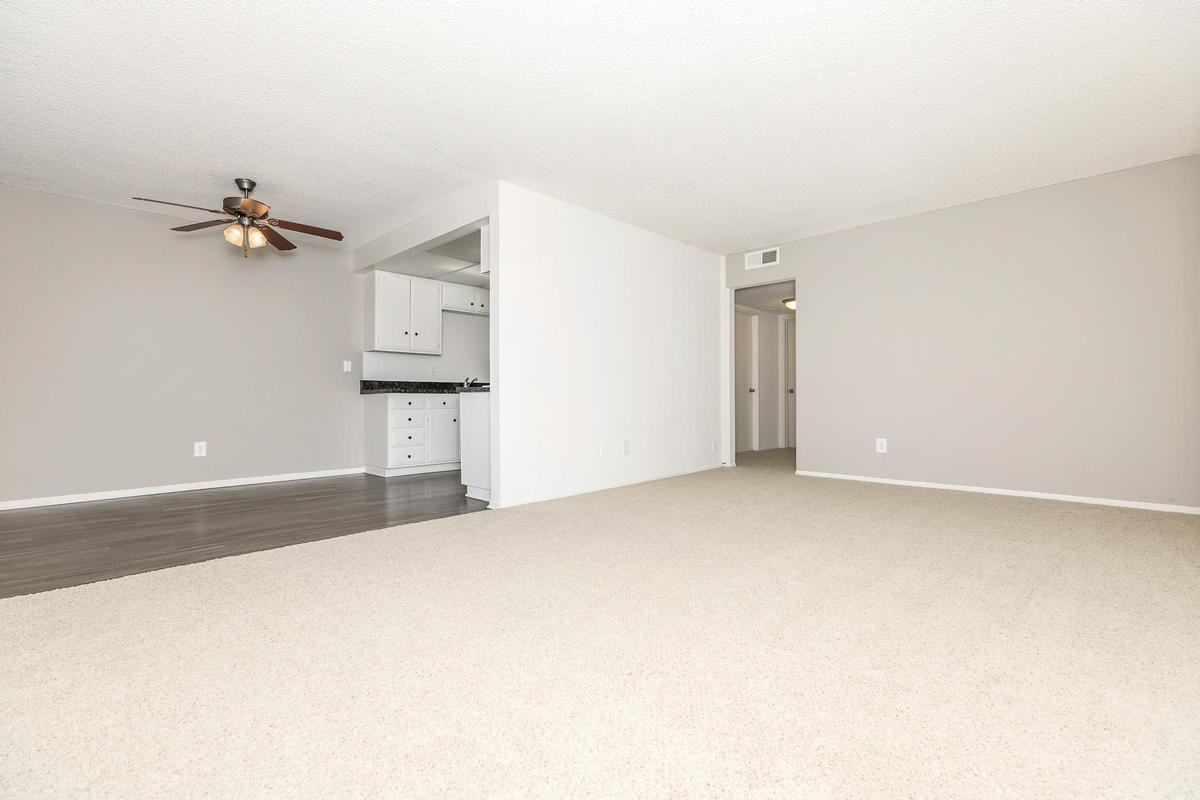 8300 Chapman Ave - Photo 6 of 45