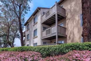 22159 Rimhurst Dr - Photo 1 of 1