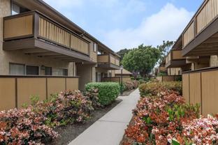 301 Vineyard Court - Photo 1 of 1