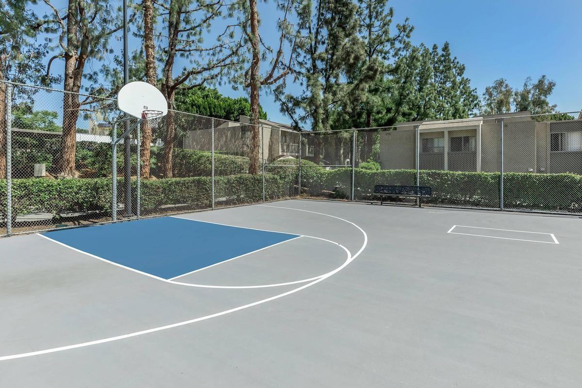 825 Tamarack Avenue - Photo 3 of 13