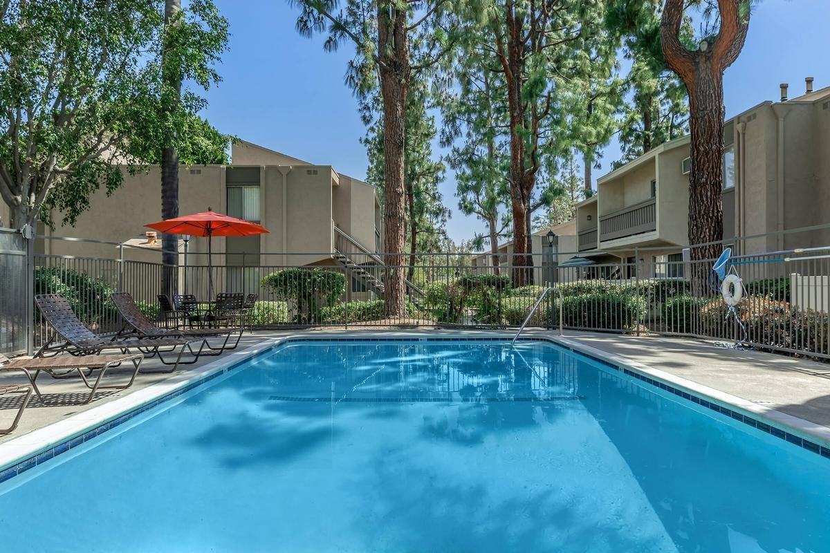 825 Tamarack Avenue - Photo 2 of 13