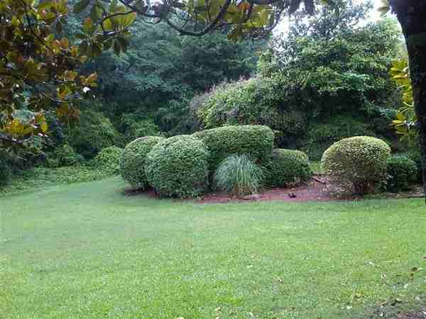 Magnolia woods Apts. - Photo 2 of 6