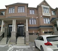 36 Elkington Crescent #Apt#2 - Photo 1 of 1