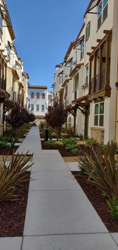 2732 Sorano Ct #8 - Photo 2 of 17