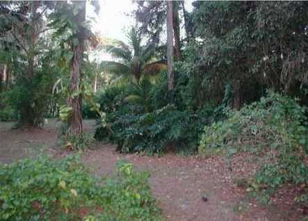 5378 Old Fort Jupiter Rd - Photo 2 of 3