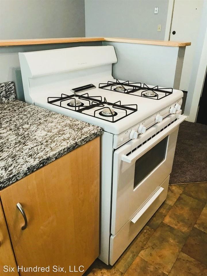 Enjoy the Urban Charm: Luxurious Brick Wall Apartments in the Heart of Downtown Minnesota - Photo 3 of 7