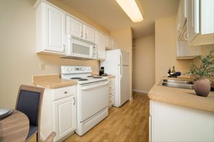 Chesterwood Apartments - Photo 1 of 1
