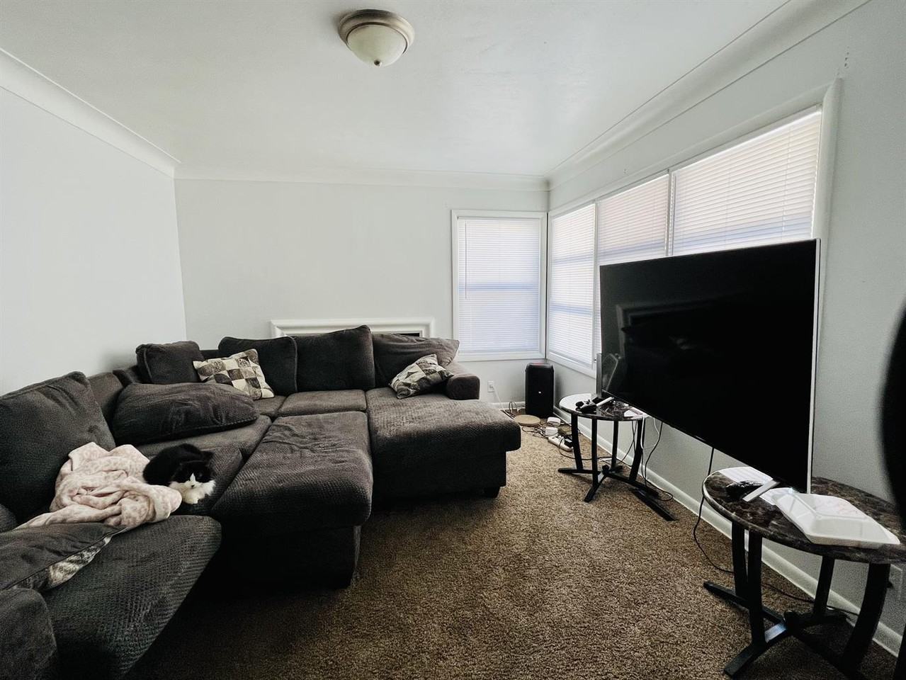 1417 Crawford St - Photo 2 of 10