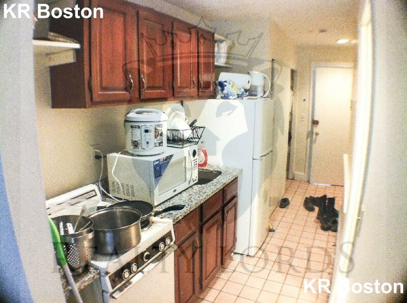 Wait St. & Huntington Ave #1R - Photo 7 of 10