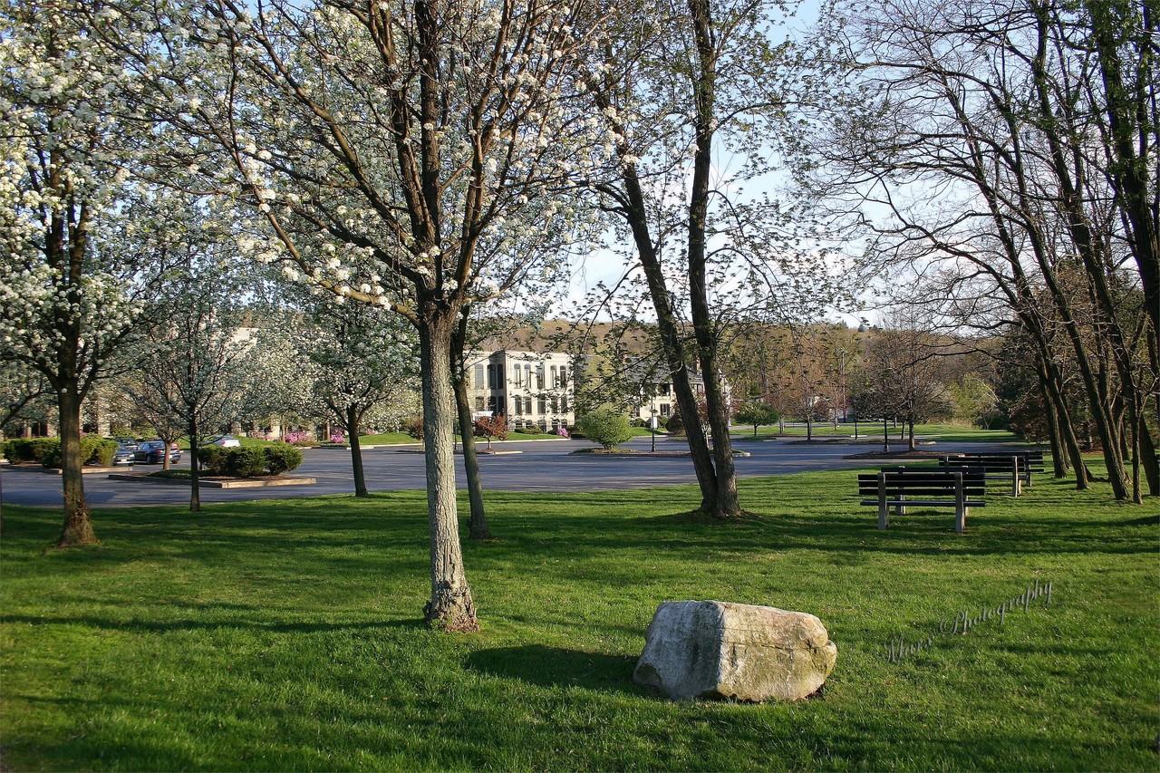 900 James AveUnit 5103 #5103 - Photo 6 of 33