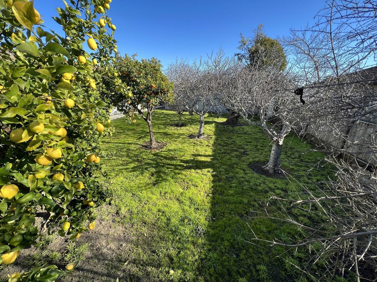 1656 150th Ave - Photo 6 of 25